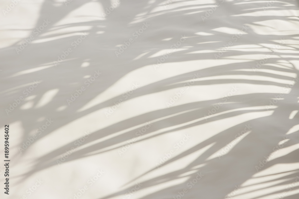 Obraz premium Soft Palm Leaf Shadows Dancing on a Light Beige Wall, Creating a Serene and Tropical Minimalist Background for Product Mockups