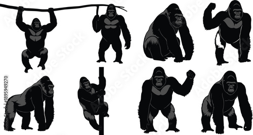 Collection of Eight Detailed Black Silhouettes Featuring Large Gorillas in Various Poses Including Climbing Hanging and Standing for Wildlife and Nature Graphic Designs
