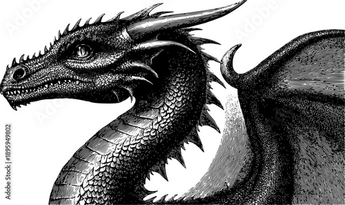 Detailed vector illustration of a majestic dragon in profile, featuring a long curved neck and a visible wing.