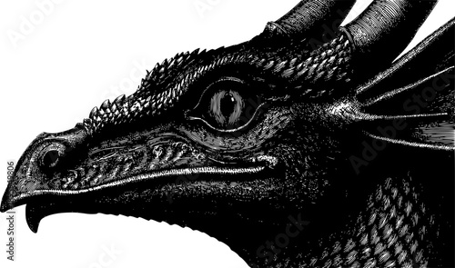 Intricate vector illustration of a majestic dragon head in profile. Detailed black and white graphic engraving featuring sharp horns, textured scales, and a powerful reptilian gaze.