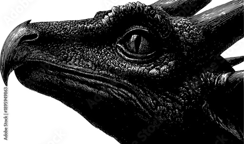 A detailed, high-contrast black-and-white ink illustration focusing on the profile of a dragon's head, showcasing intricate reptilian scales, a sharp beak-like snout, and a piercing, slit-pupil eye.