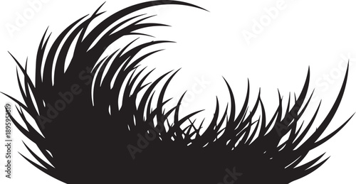 Black Silhouette of Eyelashes on White Background Illustration Design
