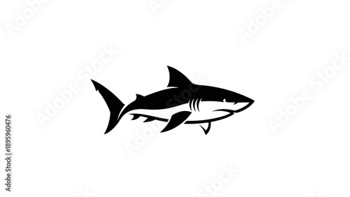 Black and white shark illustration