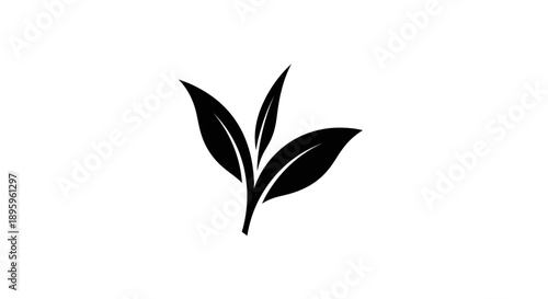 Black tea leaves logo