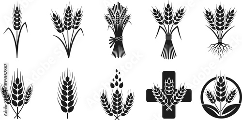 Wheat emblem icon set black silhouette sheaf bundle agriculture farming organic grain logo vector collection