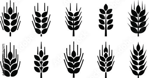 Wheat grain icon set black silhouette cereal spike agriculture logo symbols minimal flat vector collection