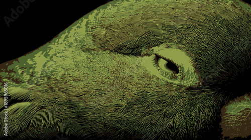 Close-up illustration of a bird's eye and textured feathers, rendered in earthy green and brown hues