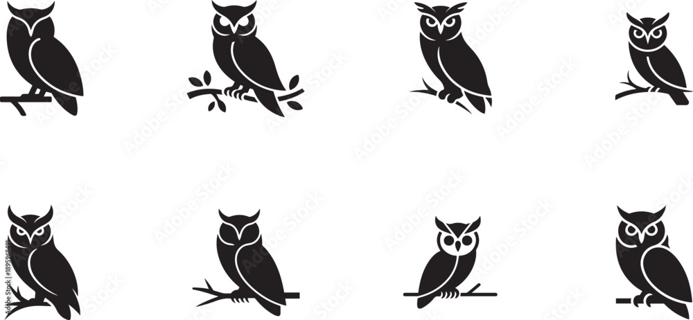 Fototapeta premium Set of elegant wise owl bird perch. Silhouette vector icon illustration with white background