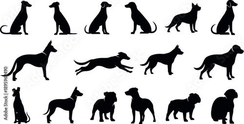 Collection of various dog breeds in different poses and silhouettes