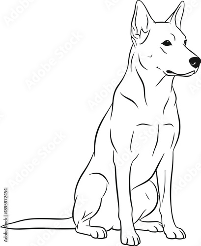 German Shepherd dog sitting alert silhouette vector illustration