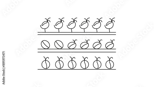 Simple line drawing of pears on shelves.