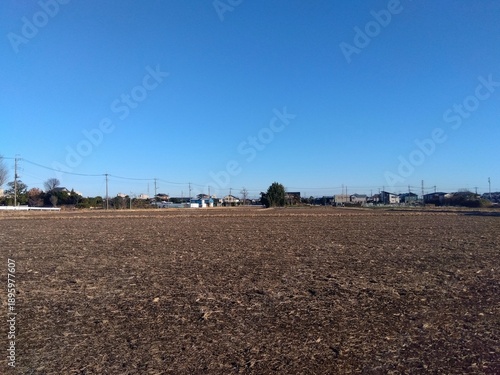 Wallpaper Mural 耕作後の藁の残る冬の近郊の田んぼ風景 Torontodigital.ca