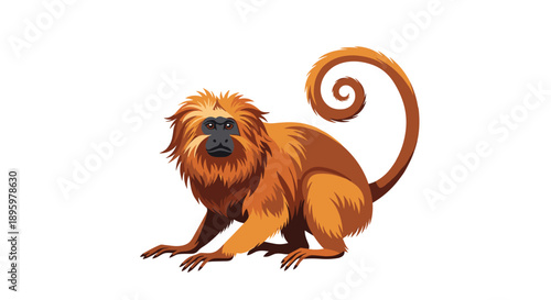 Golden lion tamarin monkey is depicted in a detailed illustration against a white background featuring vibrant orange fur and a curled tail.