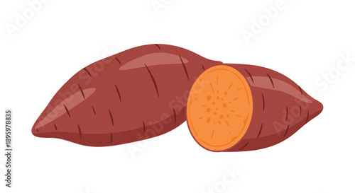 Fresh raw sweet potatoes including one sliced open to reveal the bright orange interior isolated on a white background.