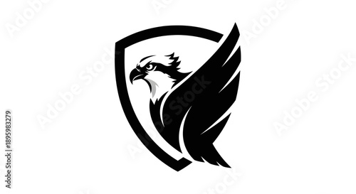 Photos Osprey bird logo design