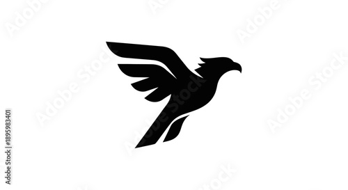 Black silhouette of a bird of prey in flight