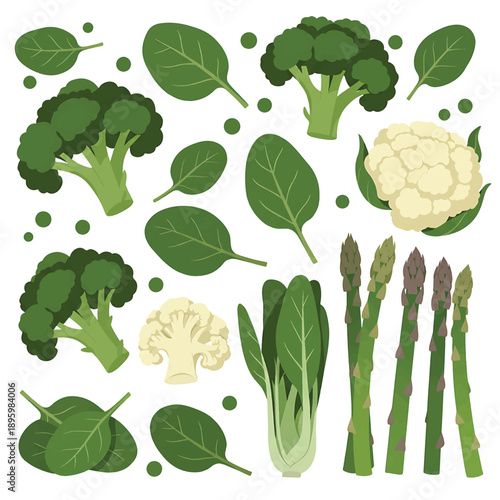 Healthy Vegetables Assortment Broccoli Cauliflower Spinach Asparagus Bok Choy