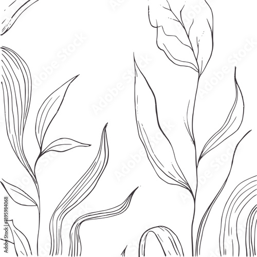 Minimalist hand drawn botanical of flowing leaves and stems