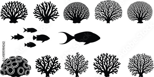Large set of black vector silhouettes featuring various types of coral reef structures and schools of tropical fish isolated on white background for marine designs