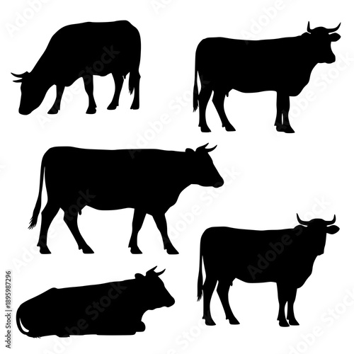 Realistic cow silhouette vector collection farm livestock illustration
