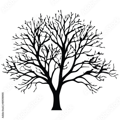A stark, silhouette illustration of a deciduous tree, its branches bare and intricately spread against a pure white background. The tree has a strong, central trunk that bifurcates into numerous, angu