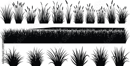 Silhouettes of diverse grass tufts and lawn strips for botanical design, landscaping references, or digital nature-themed compositions