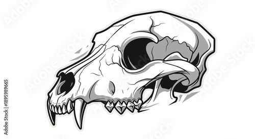 Black and White Illustration of Cat Skull.