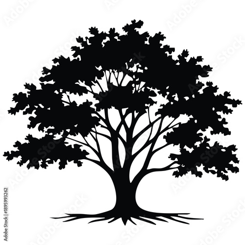 Generate a graphic silhouette of a mature, deciduous tree, with a strong, well-defined trunk that flares slightly at the base, anchored by visible, gnarled roots spreading outwards. The branches are b