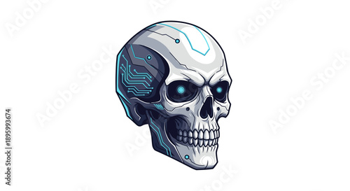 Digital Illustration of Human Skull Anatomy.
