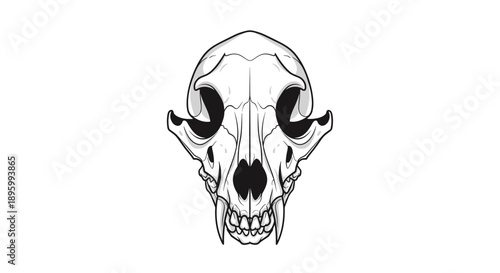Detailed Illustration of Animal Skull Structure.