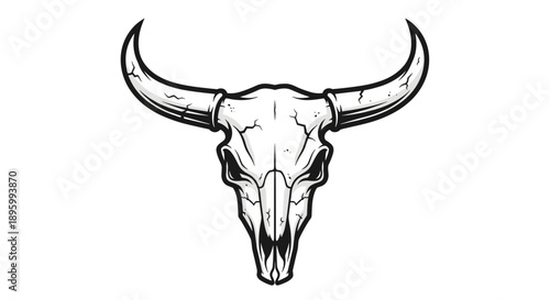 Detailed Bull Skull Illustration with Horns.