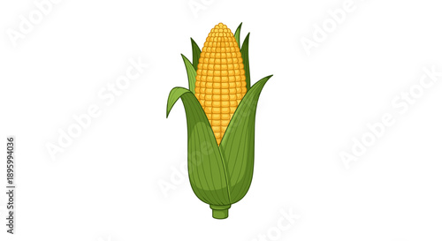 Fresh Corn on the Cob.