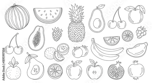 Large set of detailed black and white fruit line drawings for coloring books or healthy food graphic design projects.