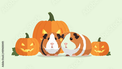 Two guinea pigs sit with carved pumpkins for Halloween