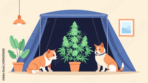 Two dogs guarding a cannabis plant indoors