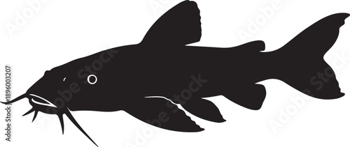 Red Lizard Catfish Silhouette on White Background