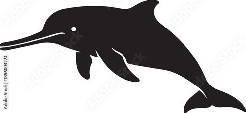 River Dolphin Silhouette on White Background