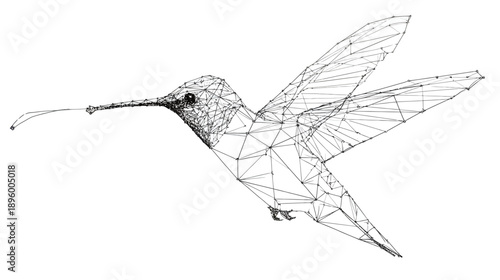 A linear-style representation of a hummingbird in flight against a clean white backdrop