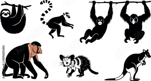Diverse group of primates and marsupials in various poses