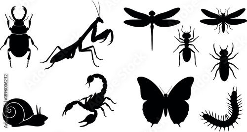 Collection of various insect and arachnid silhouettes
