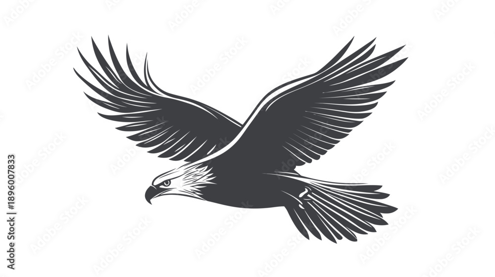 Obraz premium Majestic eagle soaring through a clear sky backdrop