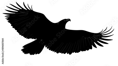 Majestic eagle soaring through clear blue sky (1)