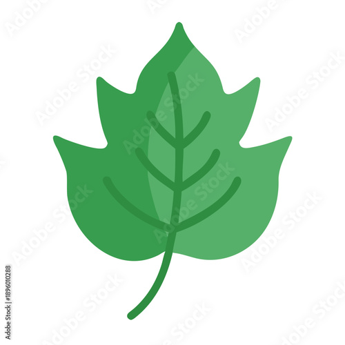 Isolated green leaf illustration on White Background in cartoonish style