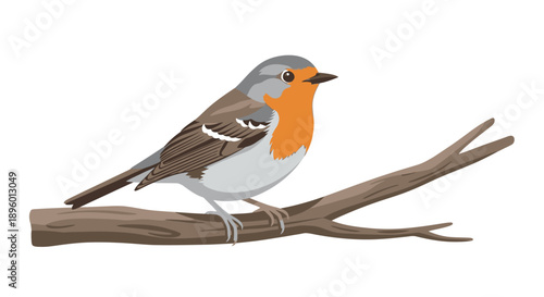 A robin perched on a branch in a serene natural setting viewed from the side