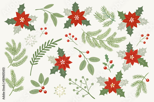 Festive christmas botanical illustration with poinsettias holly and winter foliage