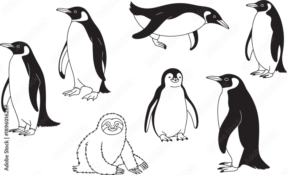 Fototapeta premium penguin and sloth Collection of charming illustrations in a simple line art style