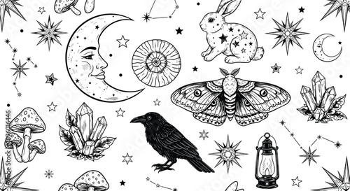 Celestial mystical hand drawn elements with crescent moon rabbit raven moth crystals mushrooms stars and constellations in bohemian woodcut engraving style