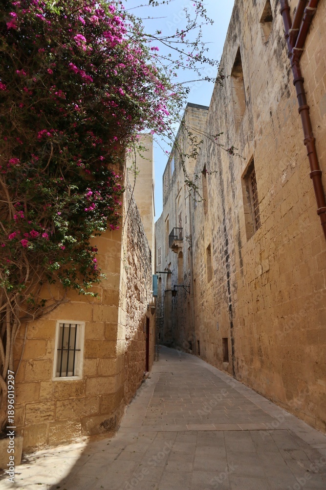 Obraz premium Alley in the old town of Mdina, Malta
