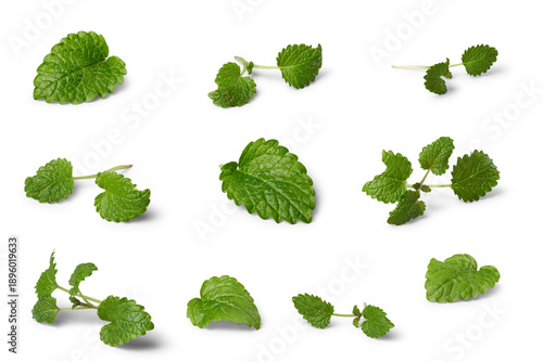 Fresh green mint leaves isolated on transparent background