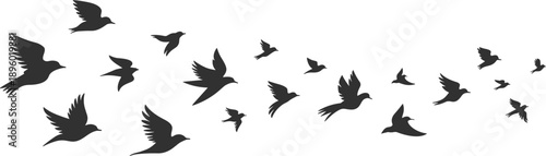 Flying birds silhouette, black flock on white background, freedom and motion concept, minimalist nature design, dynamic avian pattern, vector illustration